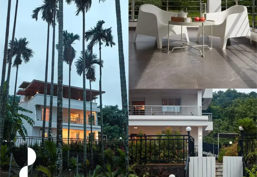 Calming interiors for pets