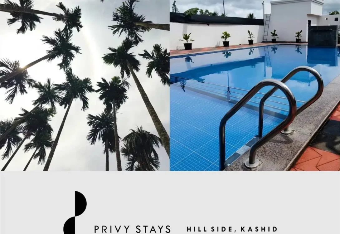 Fenced pool for pet safety