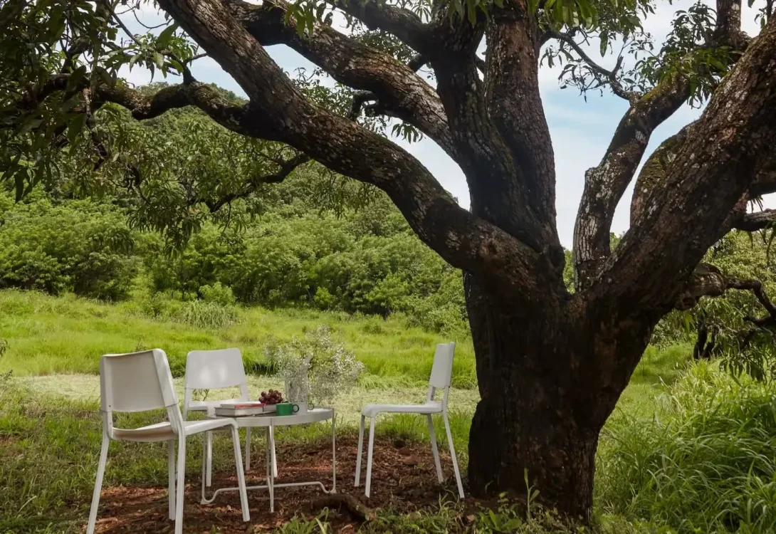 Hillside trail near the villa