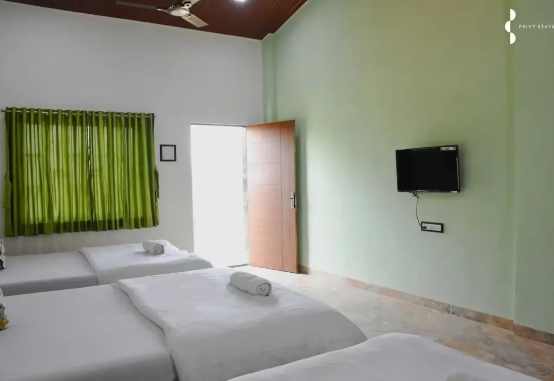 Peaceful countryside vibe