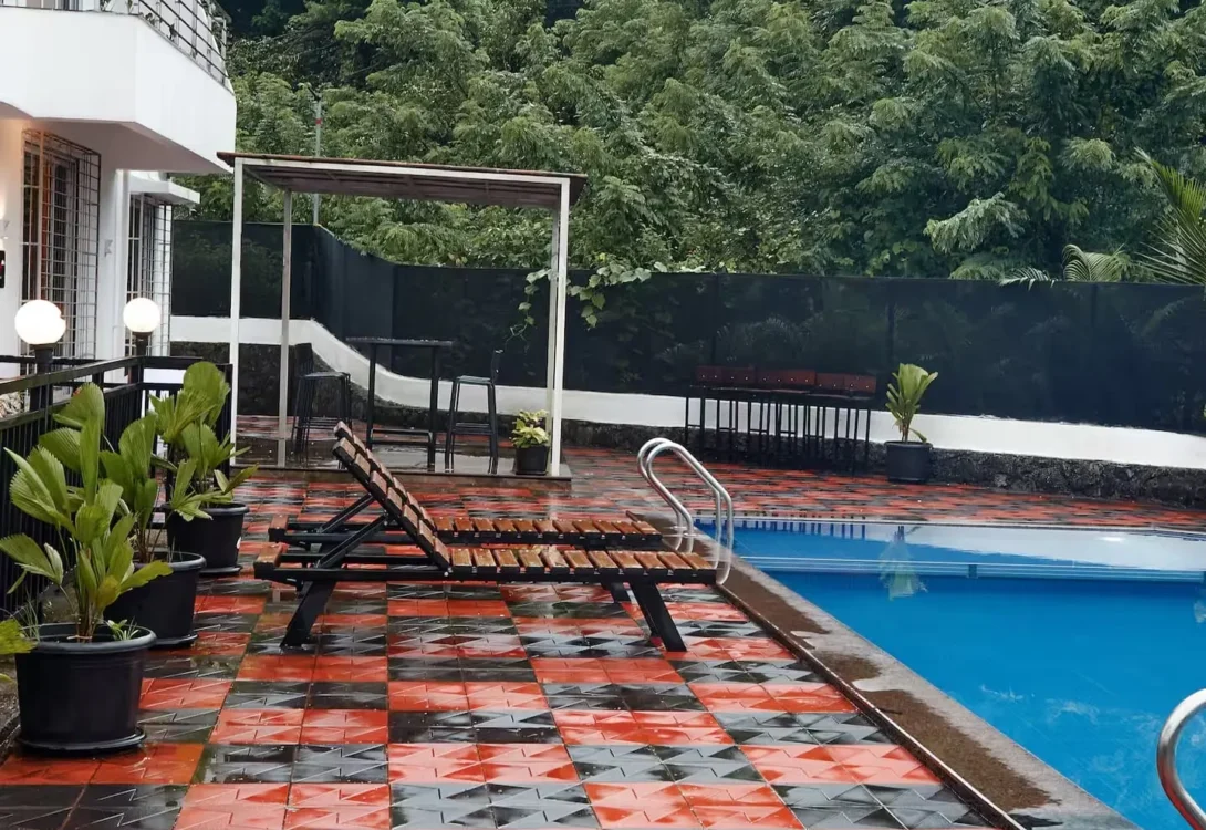 Pool with pet entry steps