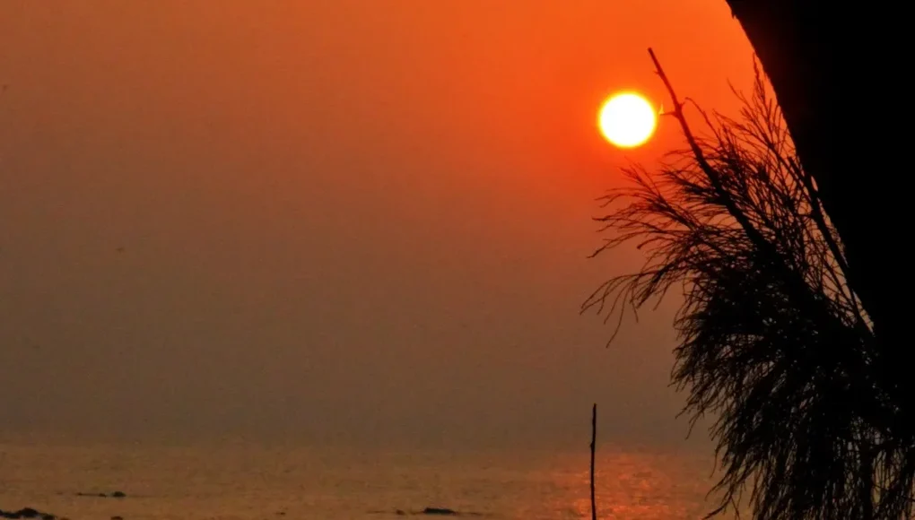 best couple-friendly hotels in Alibaug