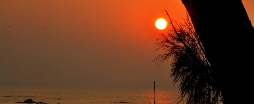 best couple-friendly hotels in Alibaug