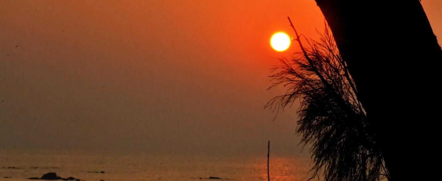 best couple-friendly hotels in Alibaug